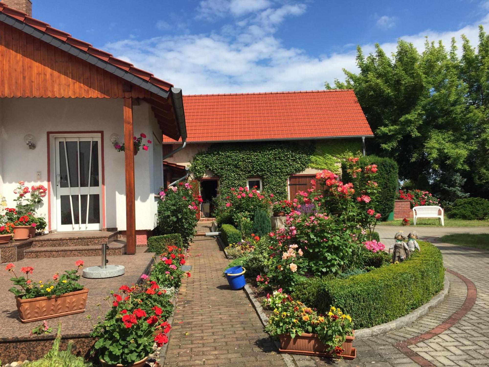 Top-Moderne Ferienwohnung Und Apartments Auf Frueherem Wunderschoenen Bauernhof Im Elbe-Elster-Kreis In Brandenburg Bei Herzberg-Elster, Schoenewalde, Holzdorf Kültér fotó