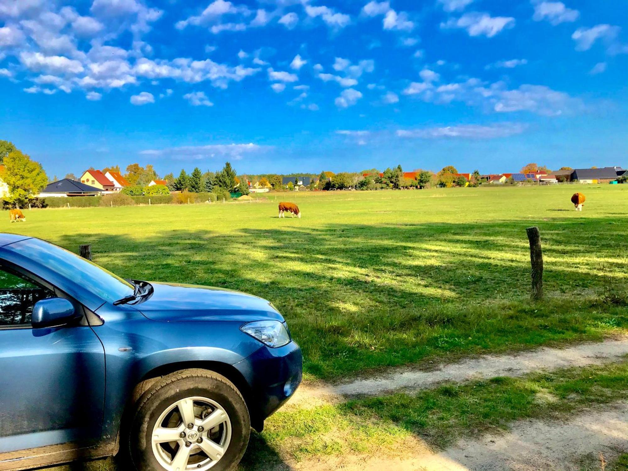Top-Moderne Ferienwohnung Und Apartments Auf Frueherem Wunderschoenen Bauernhof Im Elbe-Elster-Kreis In Brandenburg Bei Herzberg-Elster, Schoenewalde, Holzdorf Kültér fotó