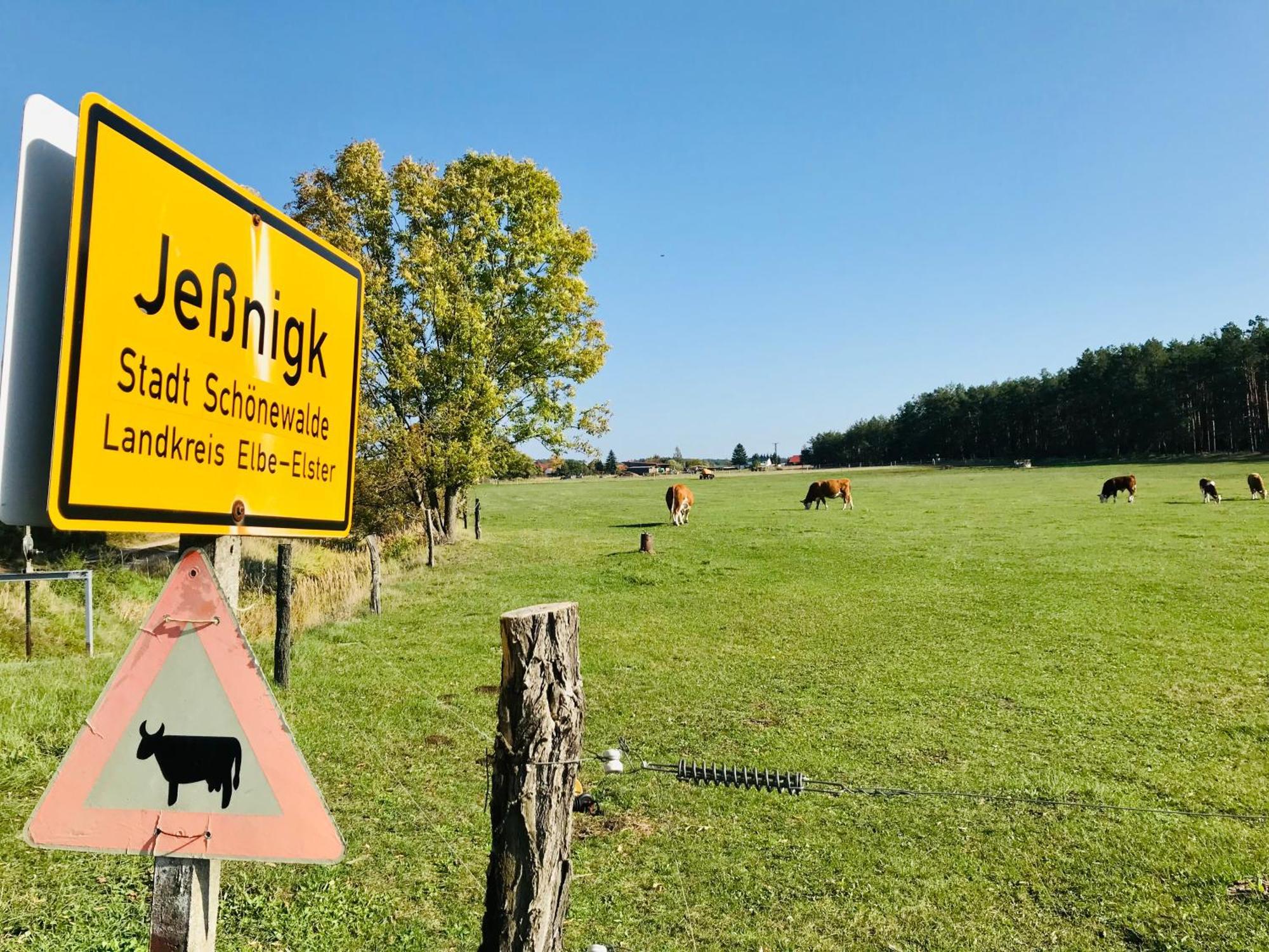 Top-Moderne Ferienwohnung Und Apartments Auf Frueherem Wunderschoenen Bauernhof Im Elbe-Elster-Kreis In Brandenburg Bei Herzberg-Elster, Schoenewalde, Holzdorf Kültér fotó
