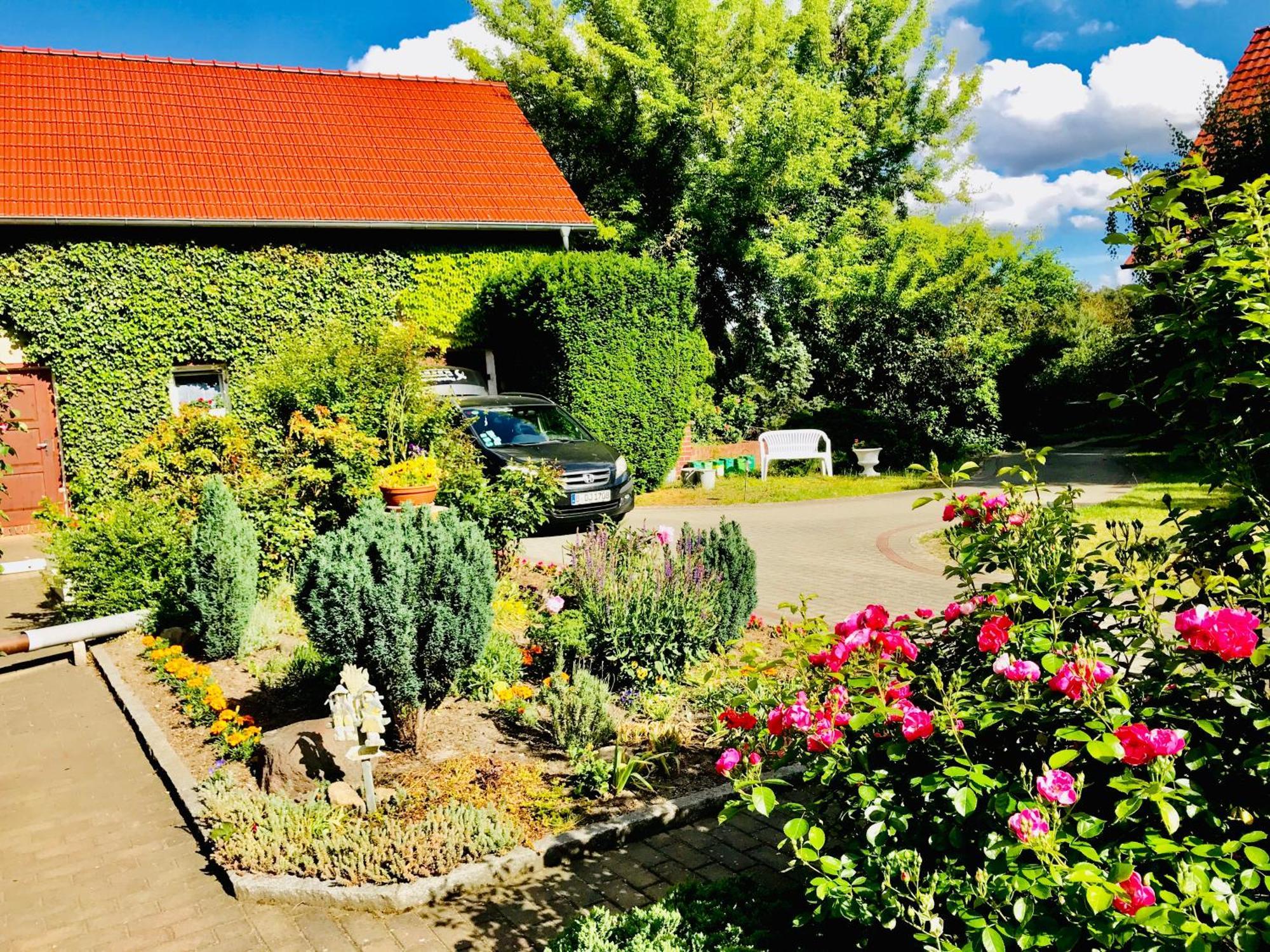 Top-Moderne Ferienwohnung Und Apartments Auf Frueherem Wunderschoenen Bauernhof Im Elbe-Elster-Kreis In Brandenburg Bei Herzberg-Elster, Schoenewalde, Holzdorf Kültér fotó