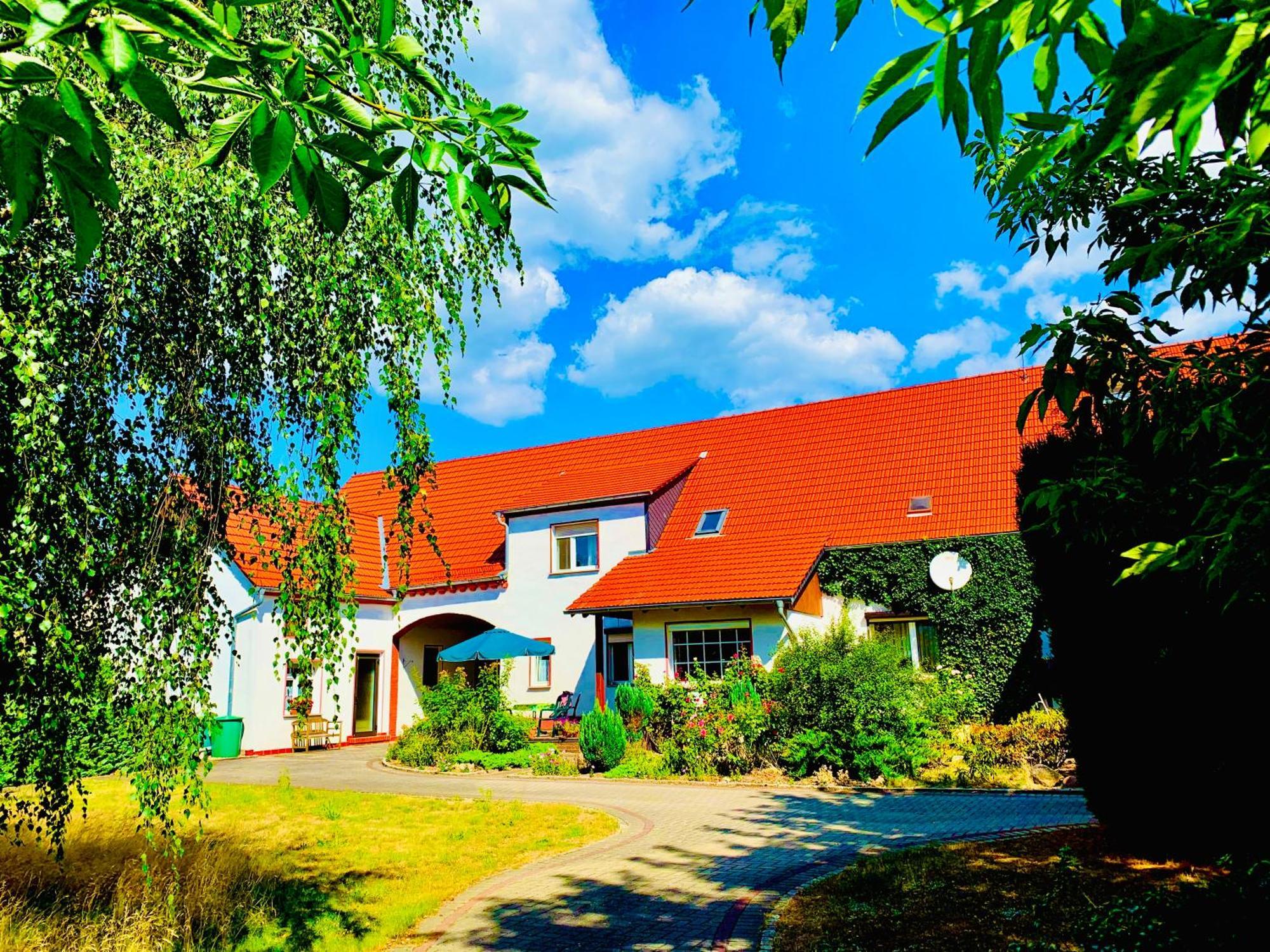 Top-Moderne Ferienwohnung Und Apartments Auf Frueherem Wunderschoenen Bauernhof Im Elbe-Elster-Kreis In Brandenburg Bei Herzberg-Elster, Schoenewalde, Holzdorf Kültér fotó