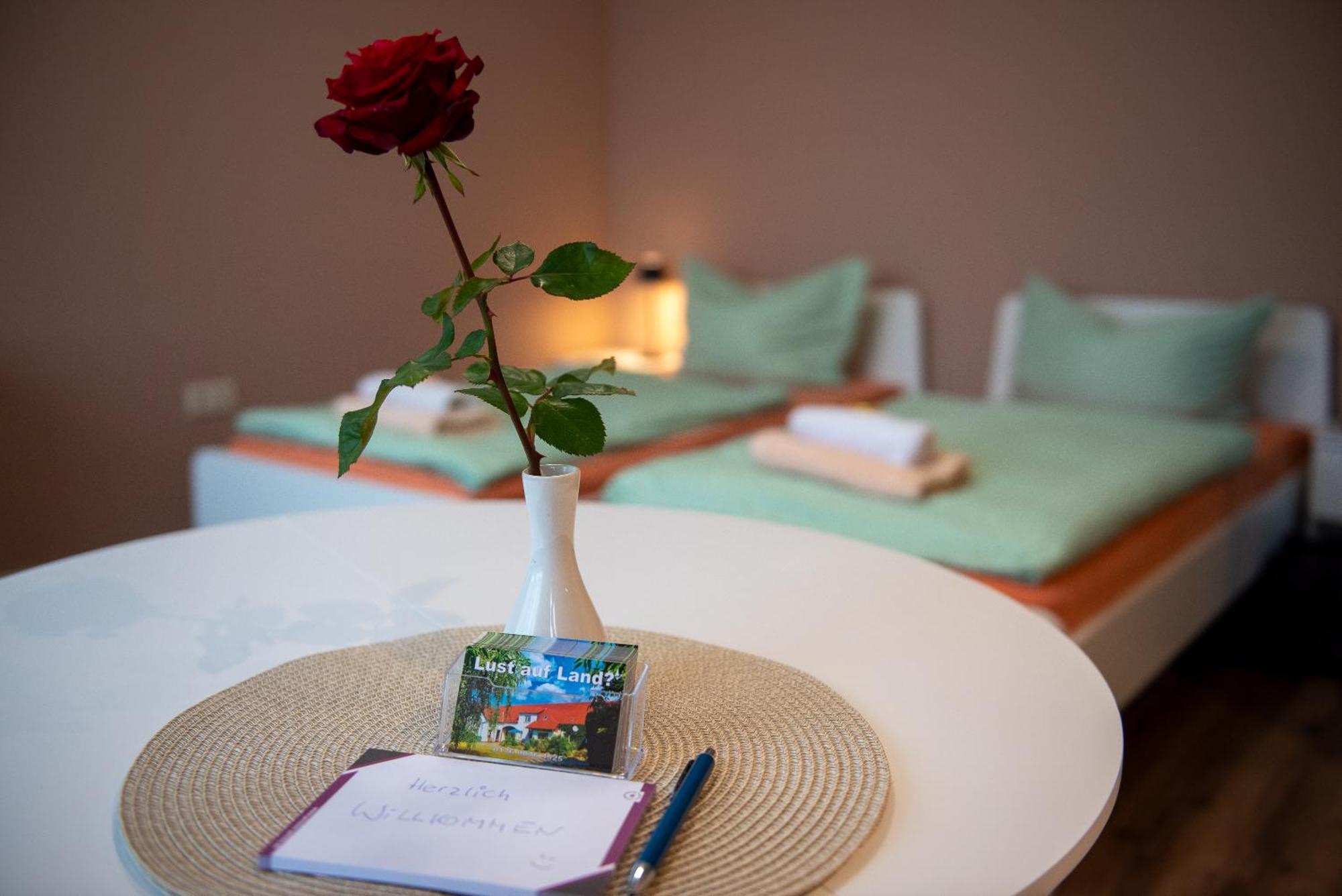 Top-Moderne Ferienwohnung Und Apartments Auf Frueherem Wunderschoenen Bauernhof Im Elbe-Elster-Kreis In Brandenburg Bei Herzberg-Elster, Schoenewalde, Holzdorf Kültér fotó